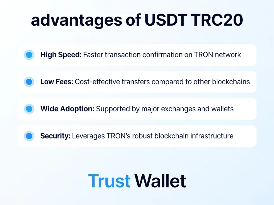 Безопасность при работе с USDT в Trust Wallet.