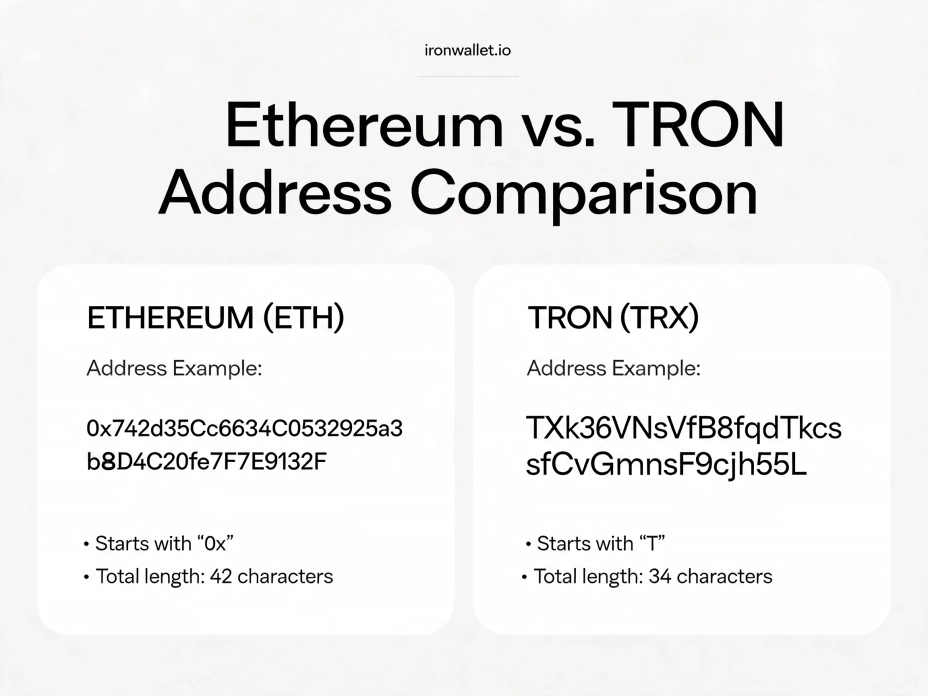 Как работать с TRX и USDT TRC20 в криптокошельке MetaMask.