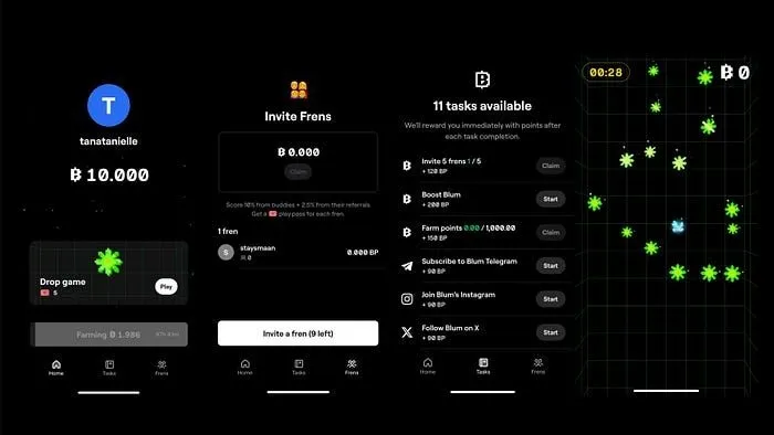 blum crypto gameplay