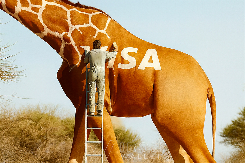 Visa introduces stablecoin payouts for creators in new “breakthrough” pilot