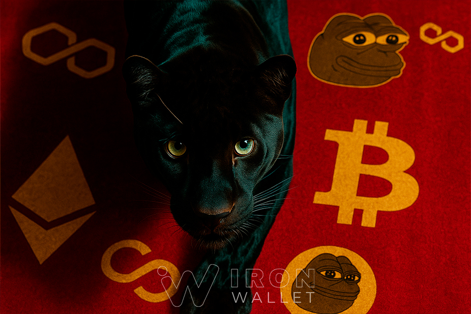 Tokenized money market funds hit $9B as BIS flags growing structural risks