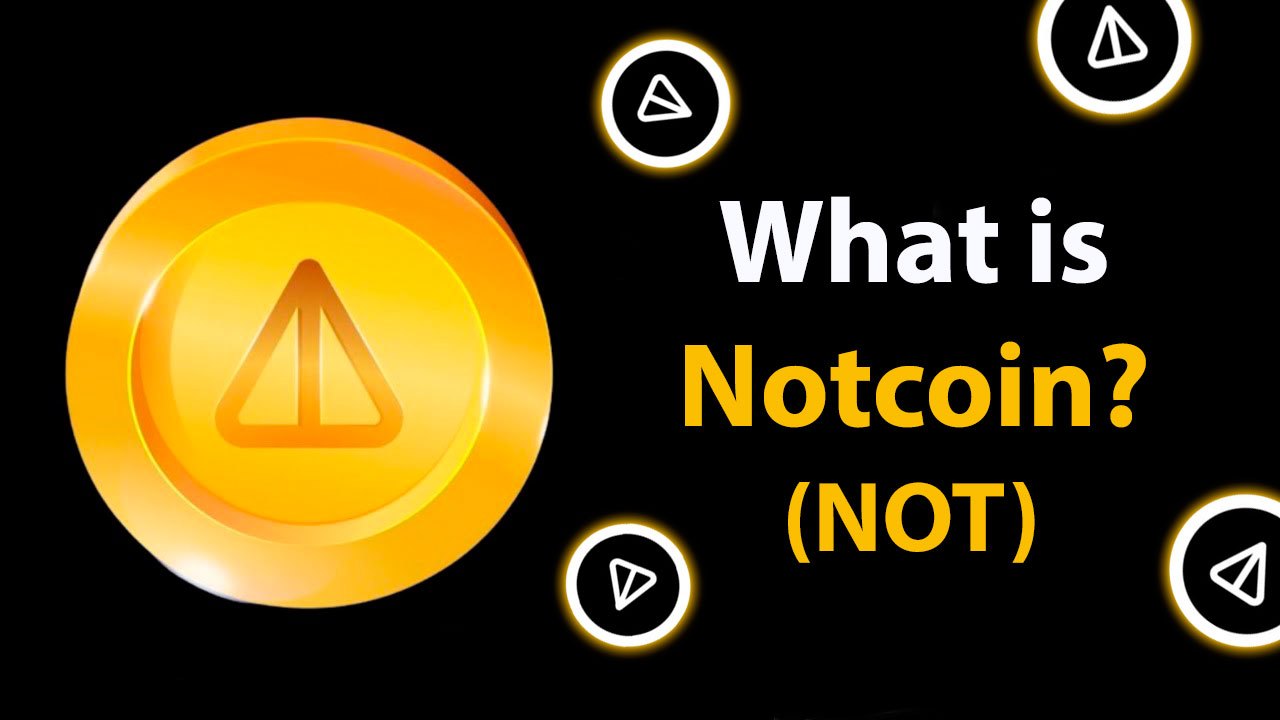 what is notcoin
