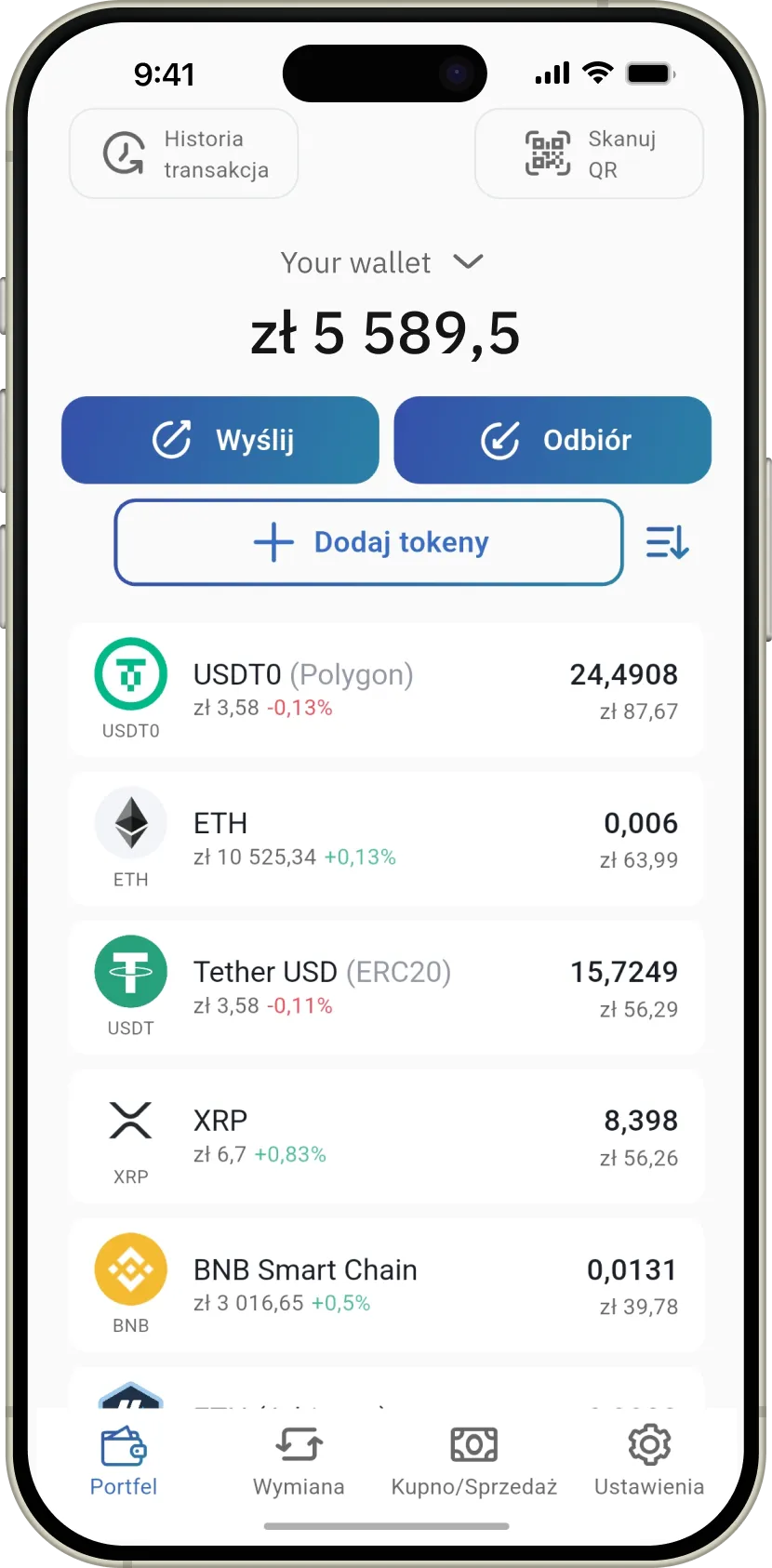 Główne logo IronWallet - portfel kryptowalut